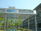 757809d8.JPG