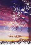 060130FirstImpact