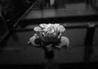 061026okitakiyomi
