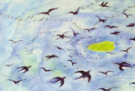 090602ororon