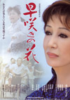 081113hayazakinohana
