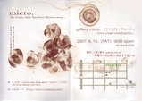 070616micro