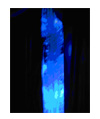 060211tent02