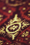 080527DOUBLEIKAT