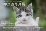 130312tanaka