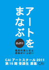 110131CAI16