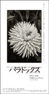 111005okamoto