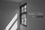 100401bibaicore2010