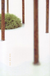 090905kimijimanobuhiro
