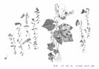 141111sakamoto