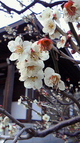 8b895c3a.jpg
