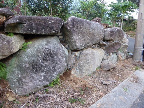 P1130138
