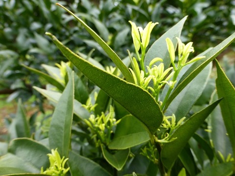 P1120738