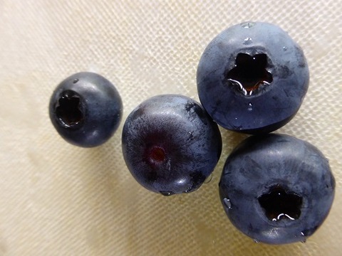 P1130157