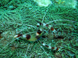 DSCF2040