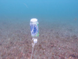 P2050127