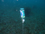 P2050141