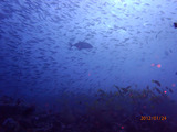 P1240875