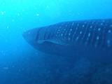 P1230695