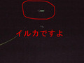 BlogPaint