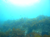 M0012212