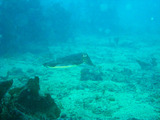 M0012200