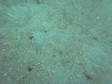 M0018077