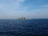 P1251196