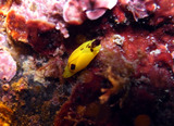 M0011160