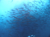 P1220322