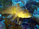 M0018105