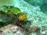 DSCF2087