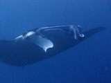P1241008