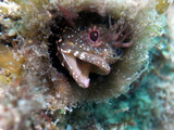 M0018076