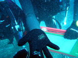 M0011223