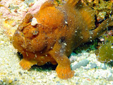 DSCF2025