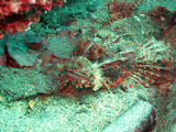 M0014999