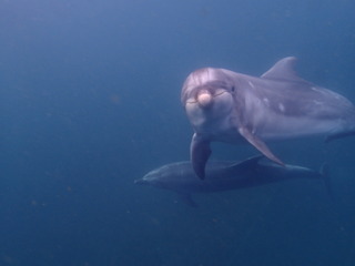 P9110060