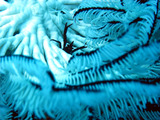 M0011123