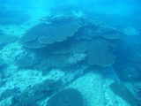M0011132