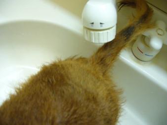 �䥿�Υ��å�