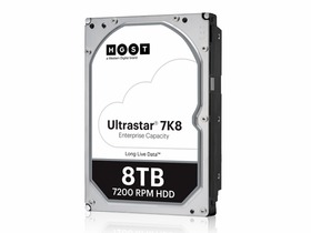 hgst1