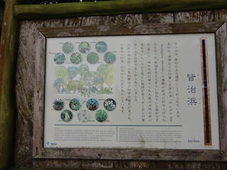 DSC05173