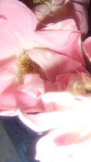 DSC07326