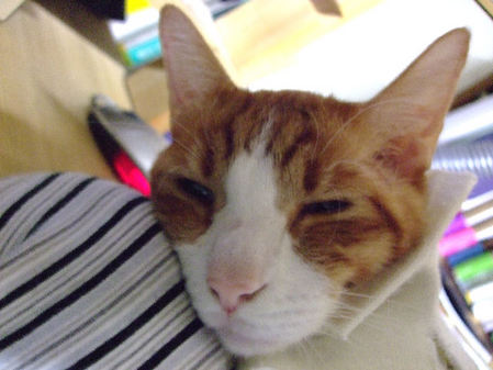 091021�ޥ룳