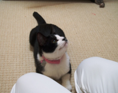 ÀéÇȤÁ¤ã¤ó