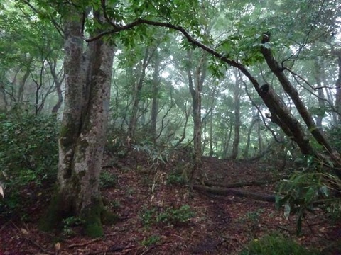 DSC00178