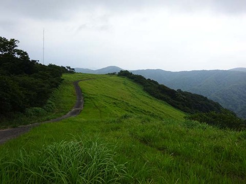 DSC00176