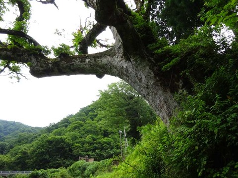 DSC00170