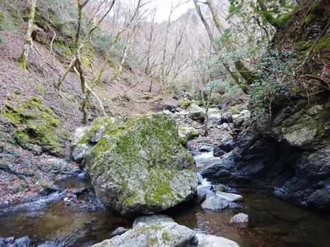 DSC01247